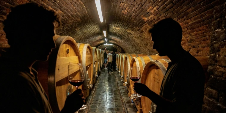 Otevřené sklepy 2026